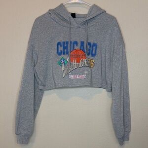 Chicago Basketball Shein Gray Crop Hoodie Women’s Size L
